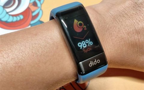 dido第一度 Y1智能血压手环评测：血氧，心率，心电，睡眠，老人健康，跑步运动！
