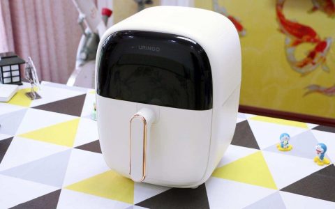 七彩叮当（QICAIDINGDANG） 空气炸锅评测：5.5L大容量，360°循环加热