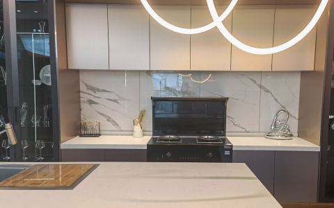 帅丰X1-8B-90X双子星蒸烤同步集成灶评测：一台集成灶解决所有问题