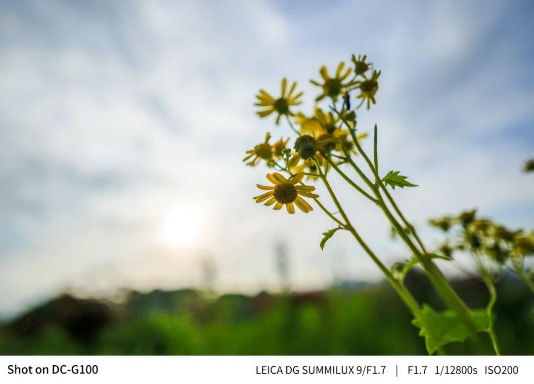 松下（Panasonic） 9mm F1.7 微单相机超广角定焦镜头拍照评测