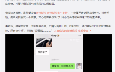 知名汽车博主曝特斯拉刹车失灵！踩刹车没反应 延迟才工作