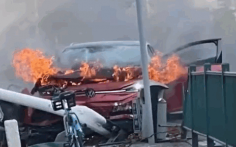 专家：电动车自燃率比燃油车还低