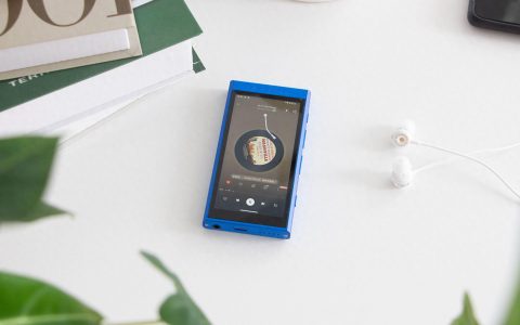 被老公说抽风，非的买个hifi来听歌！是手机不好用吗！