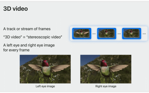 比苹果VisionPro更快？雷鸟Air2率先支持观看空间视频
